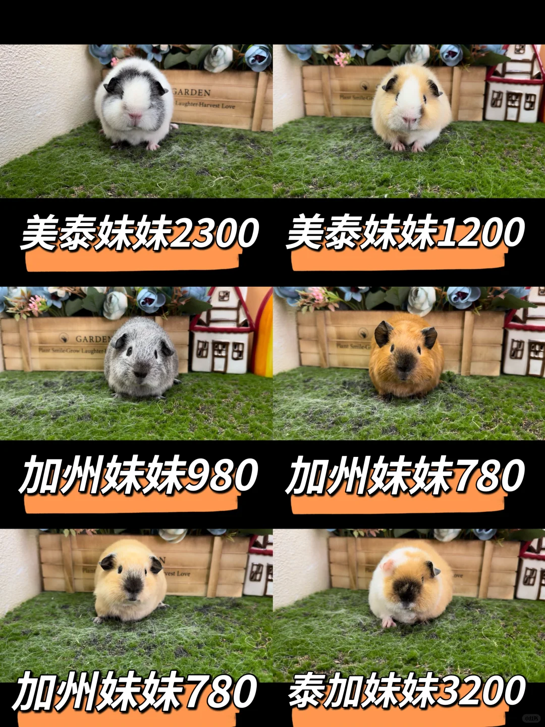 һҳ