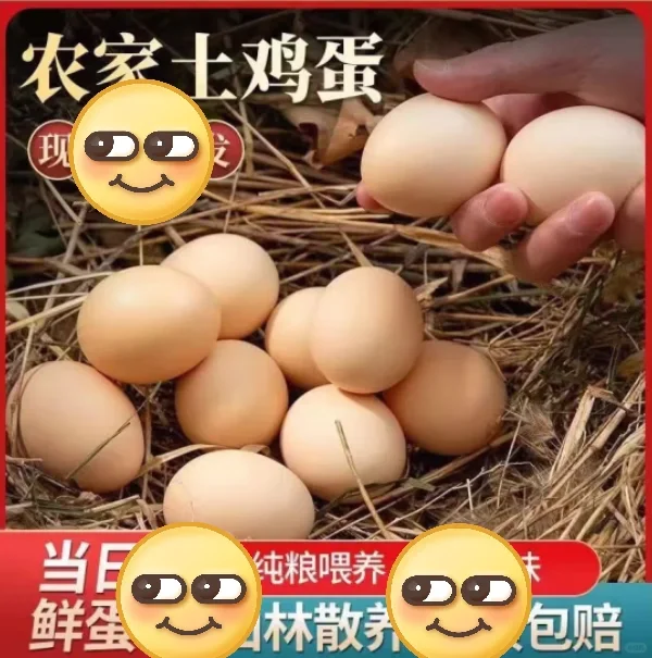 ������������3Ԫ10ö������������