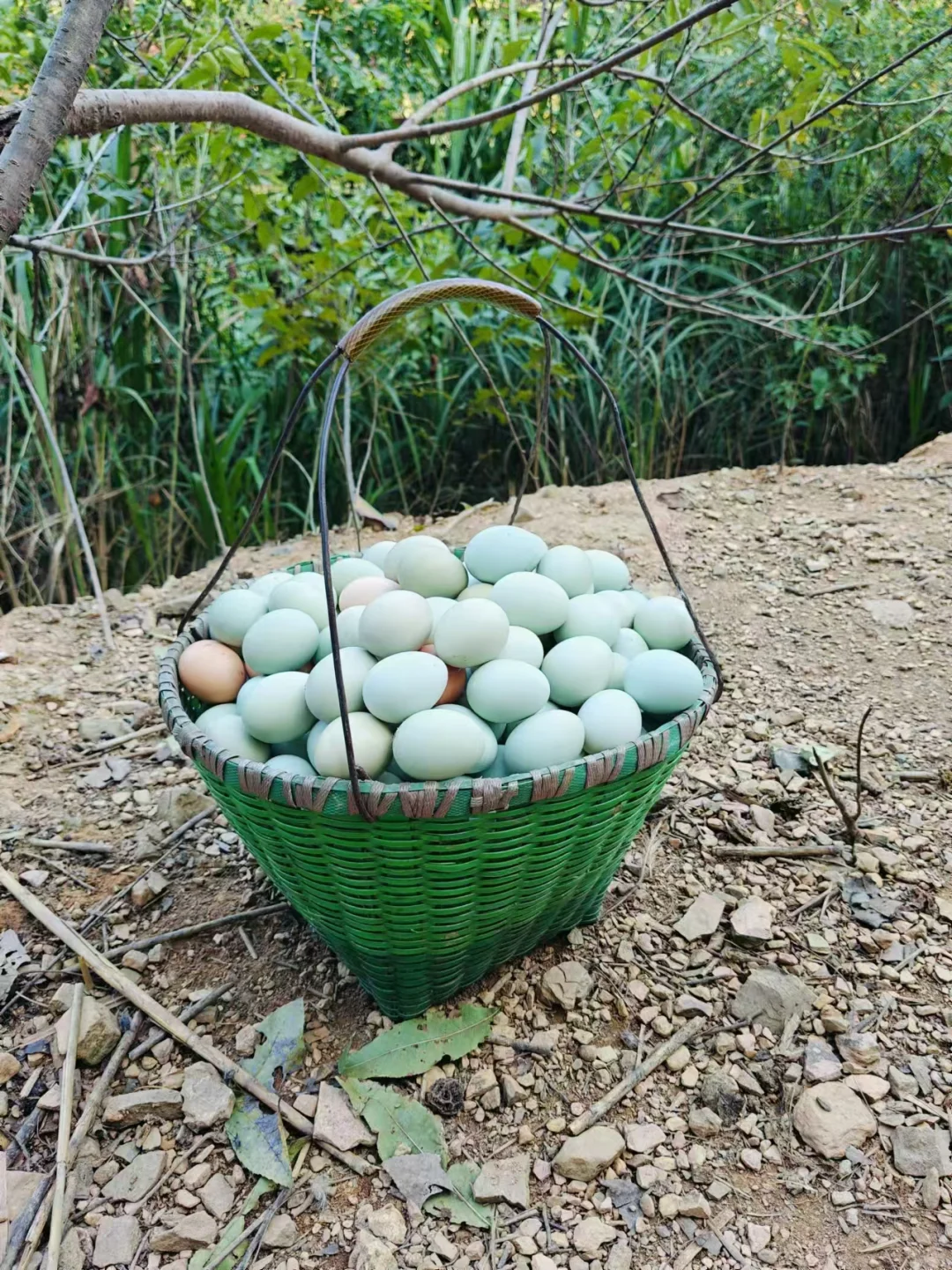 һԪһ