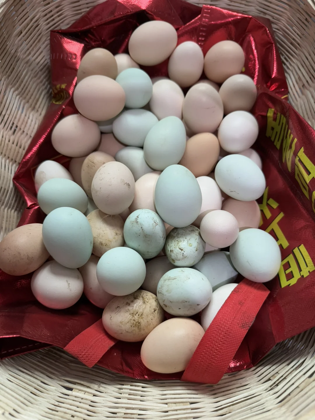 ���ѽ�������Ҷ��Բ�������������