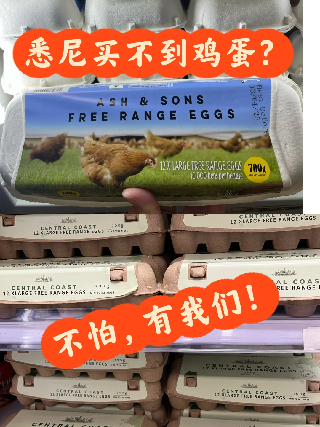 Ϥƿ۸ˮ