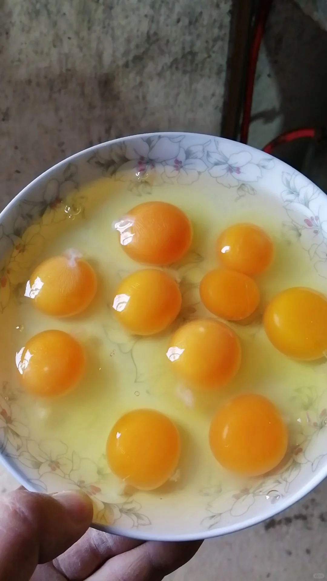 ɢ���������img.bim99.cntyle=