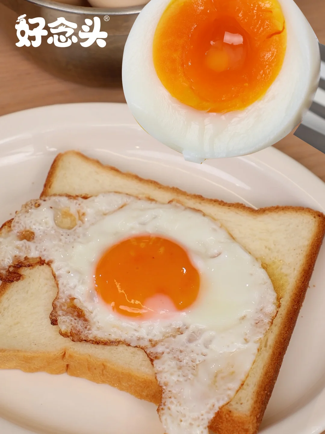 ˣʳڼļ۸ˣ