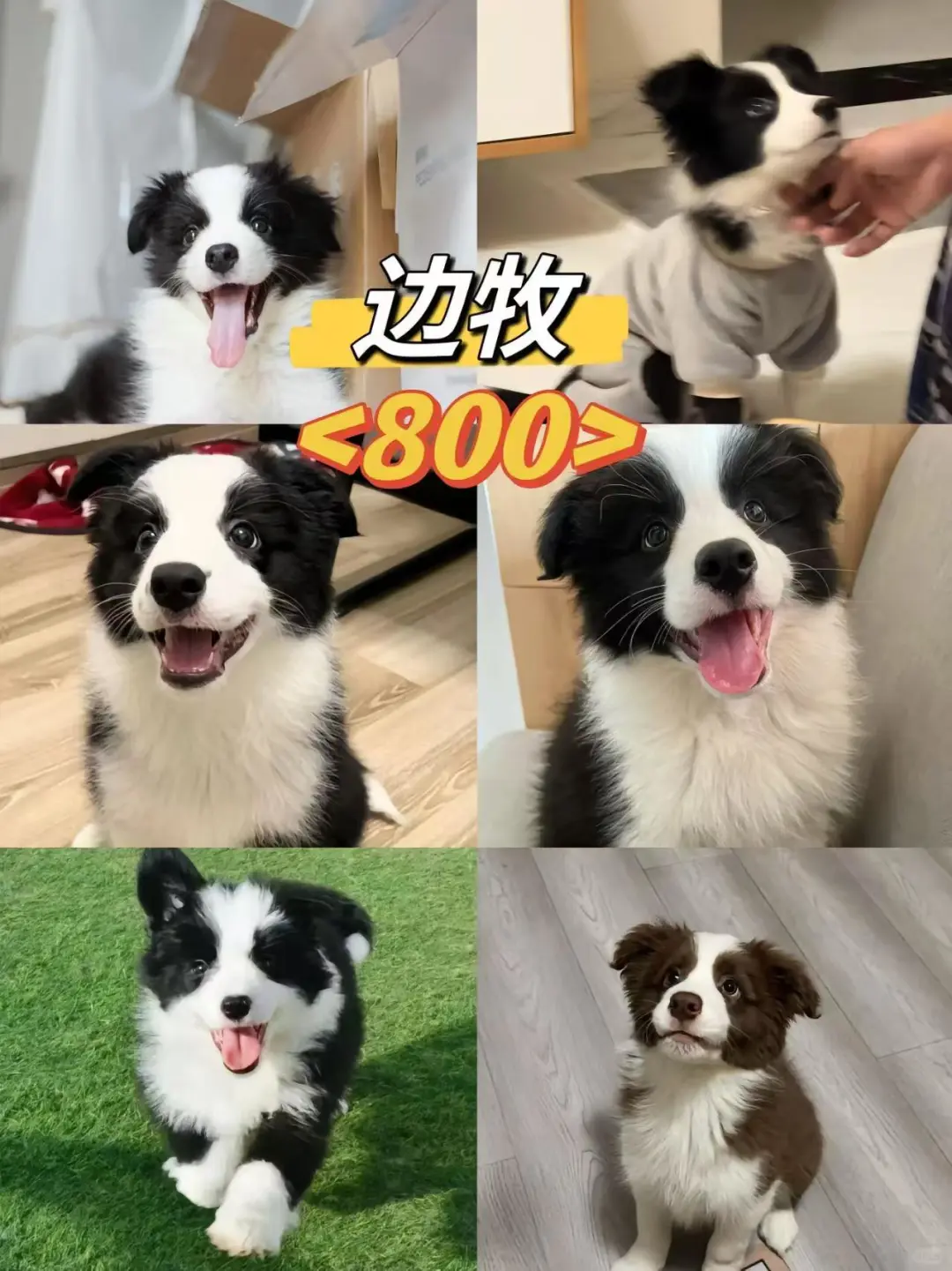 2024۸ȫ