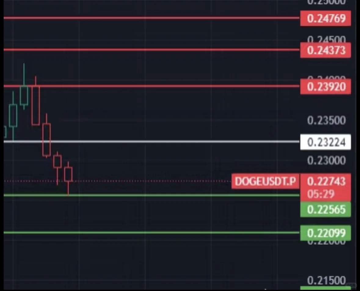 ˵˵ڵ$DOGE һ