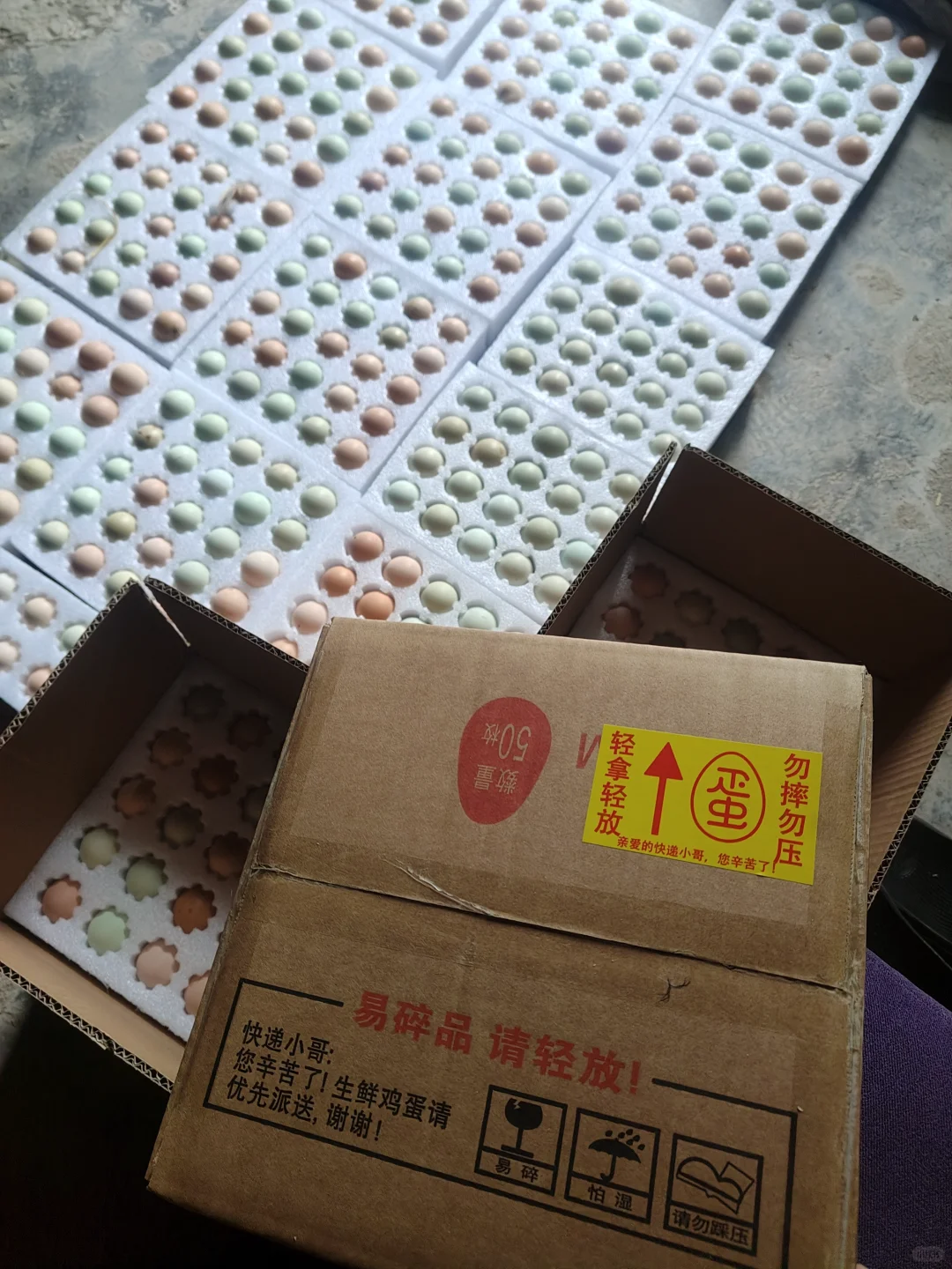 ﶼڴ򣡣