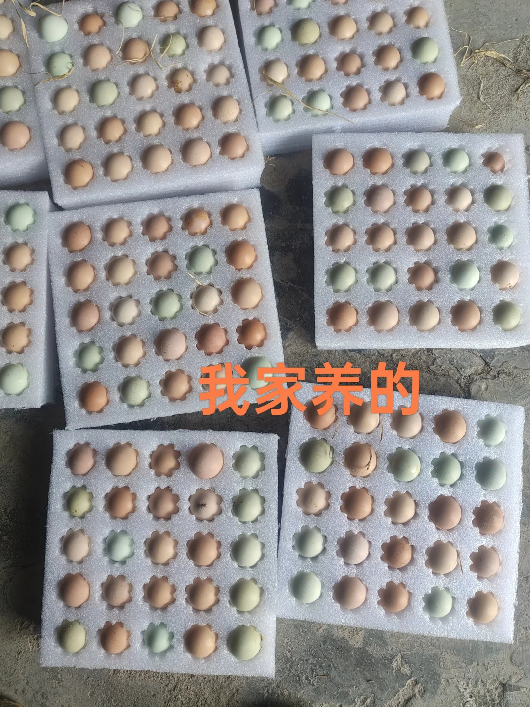 ﶼڴ򣡣