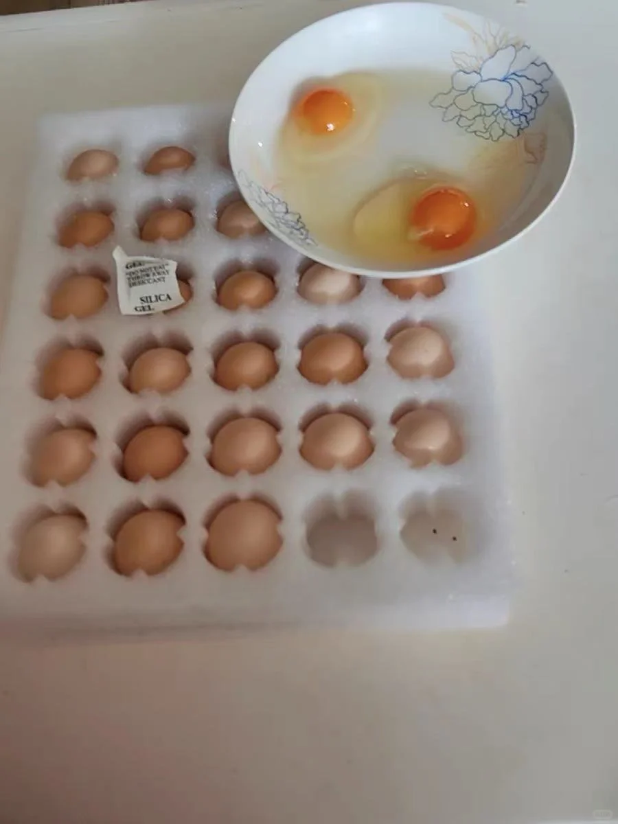 Ǻ壡Ǻ壡