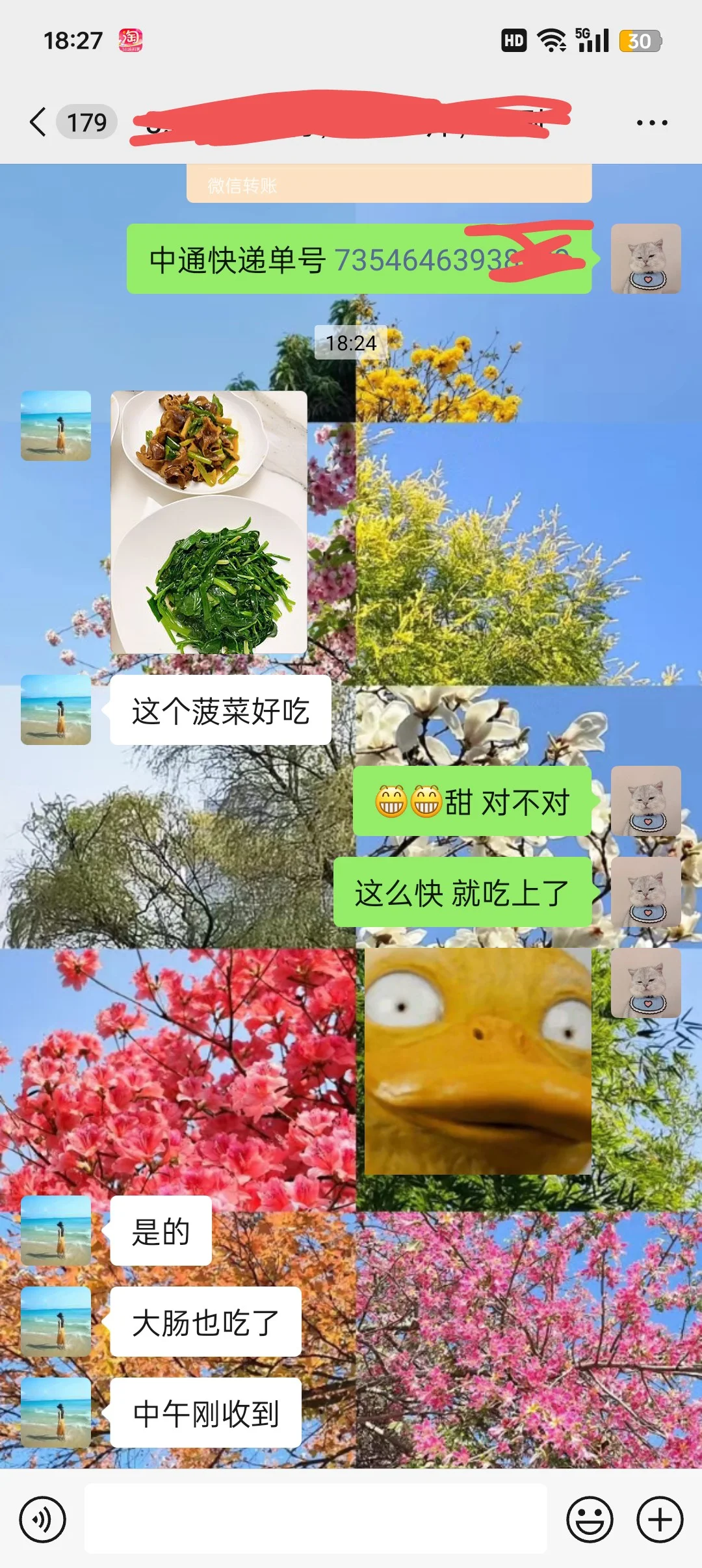 ϼ⣬Ұæ