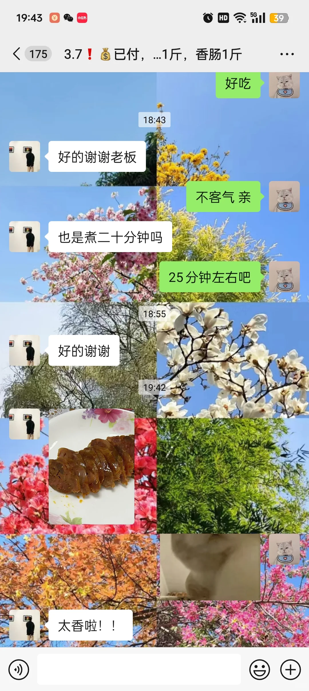 ϼ⣬Ұæ