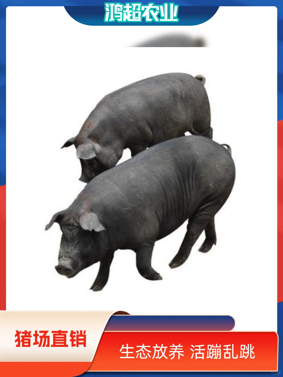 к̼۸Ǯһͷ
