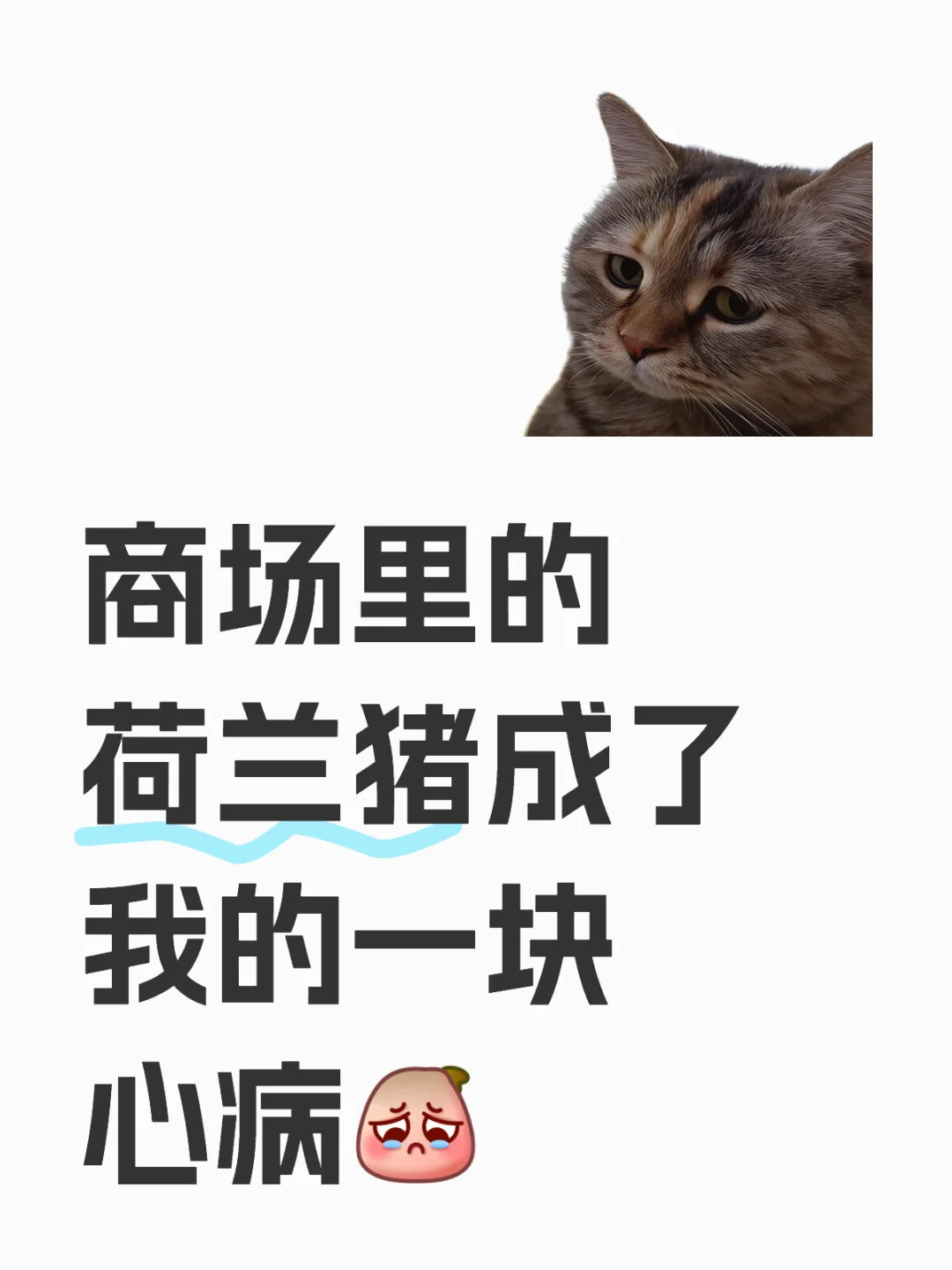 ̳ĺҵһĲ