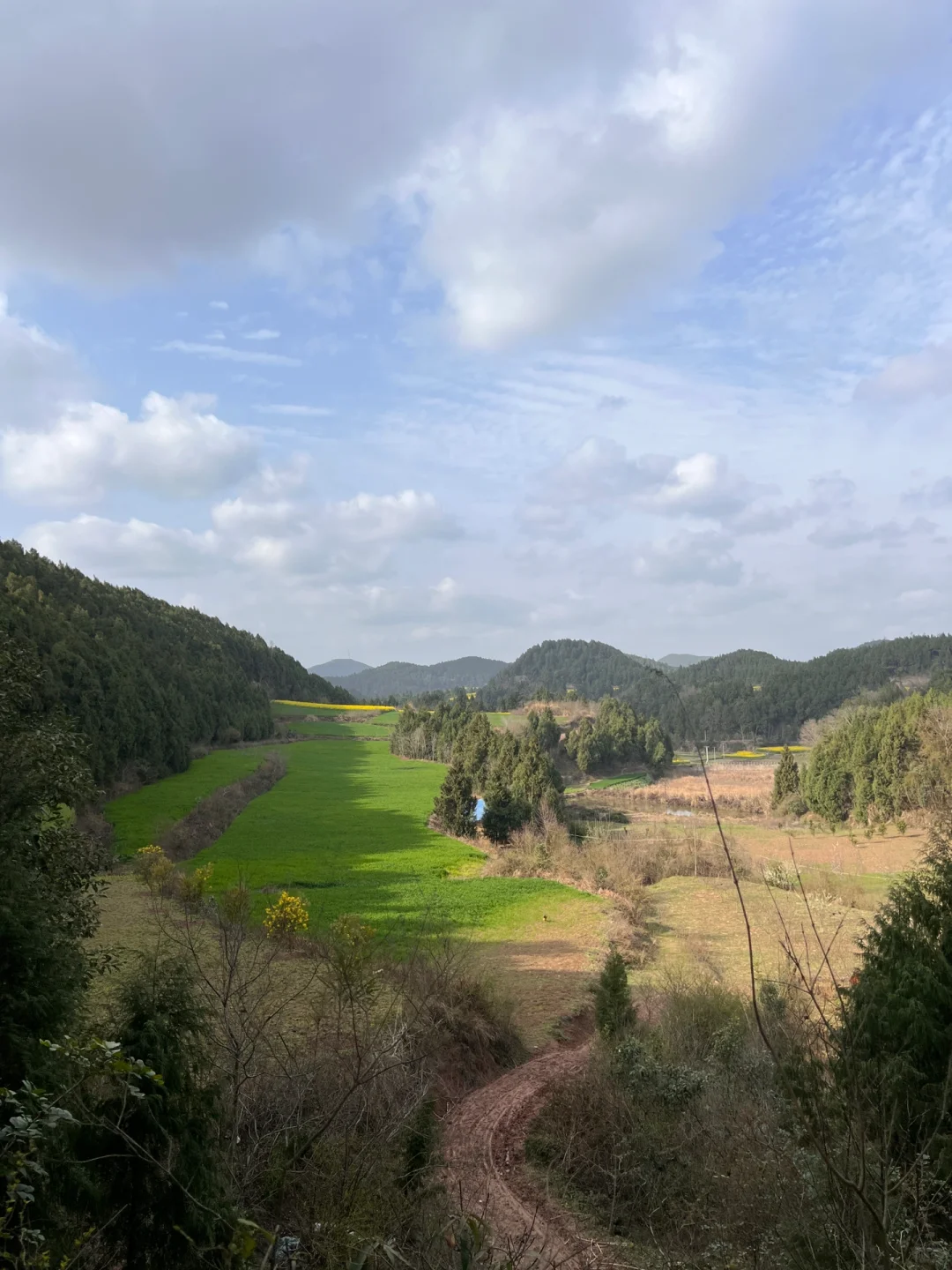 1200ֻ϶죬˵