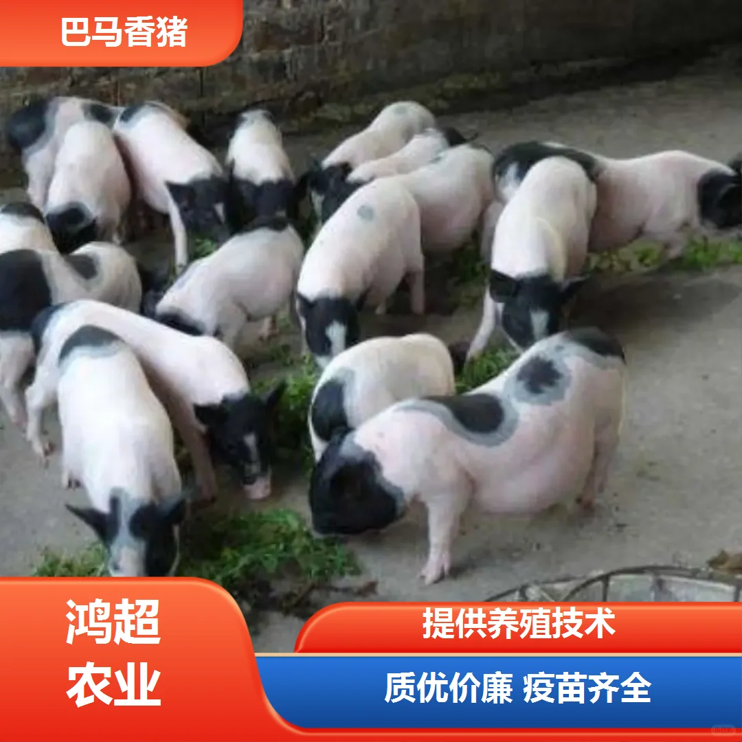 ϪаĸǮ