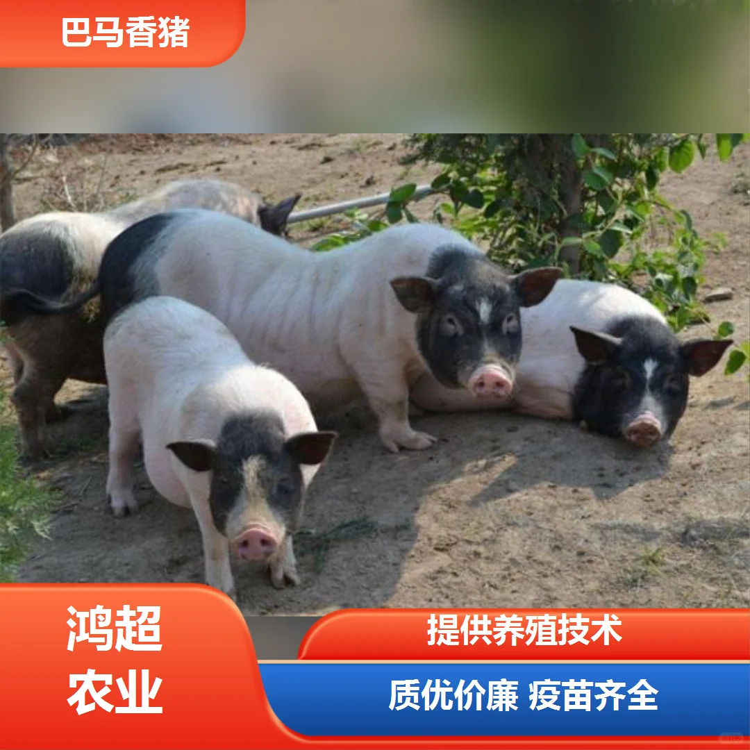 ϪаĸǮ