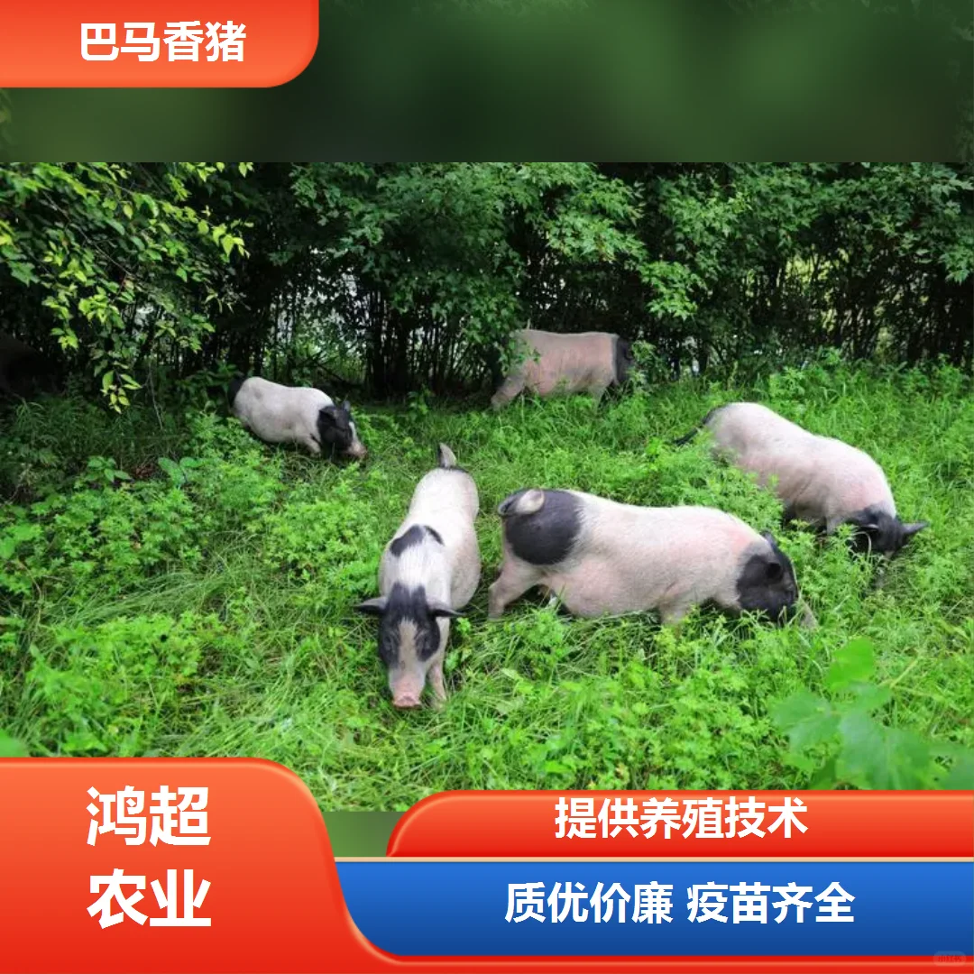 ϪаĸǮ