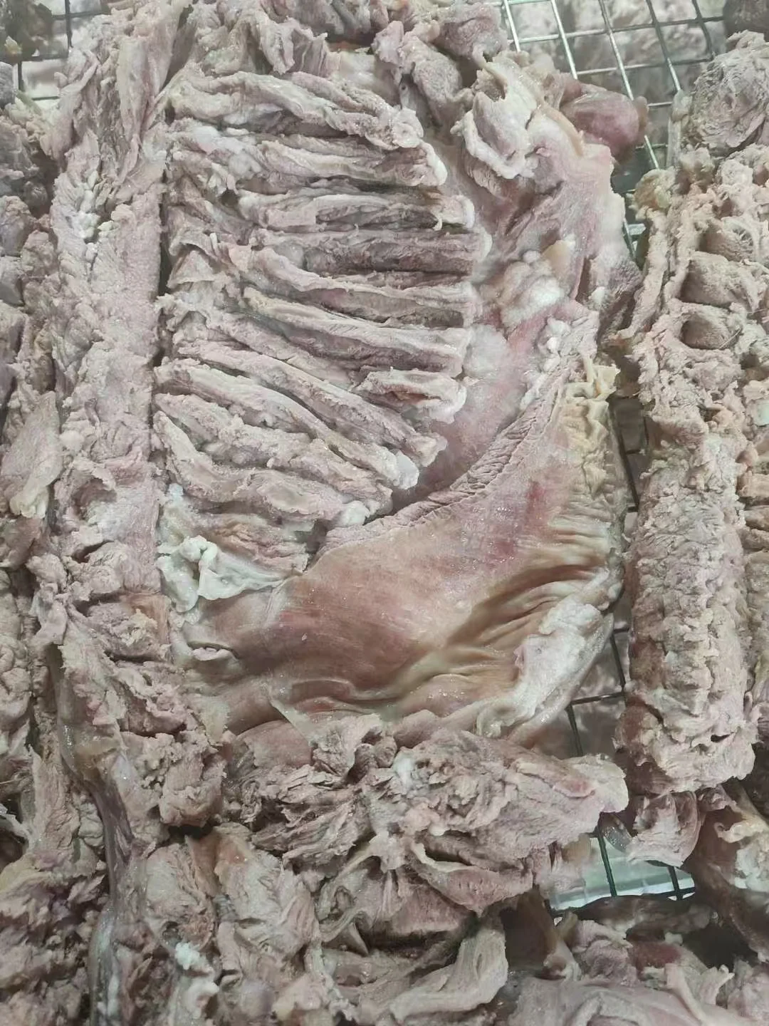 ɹŹţ
