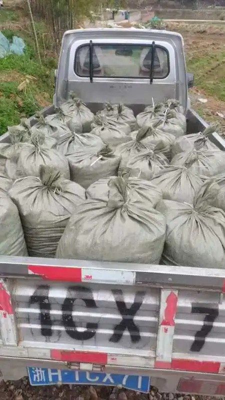 纯羊粪