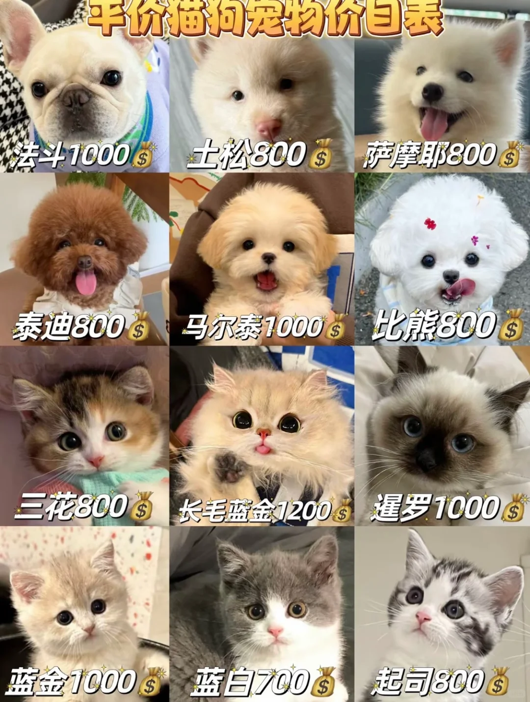 猫狗大全价格表