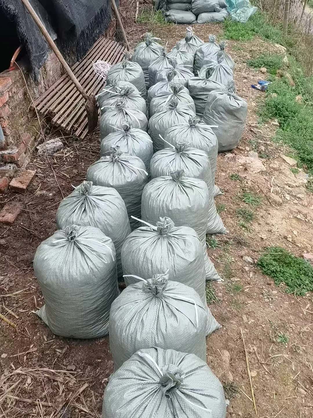 纯羊粪
