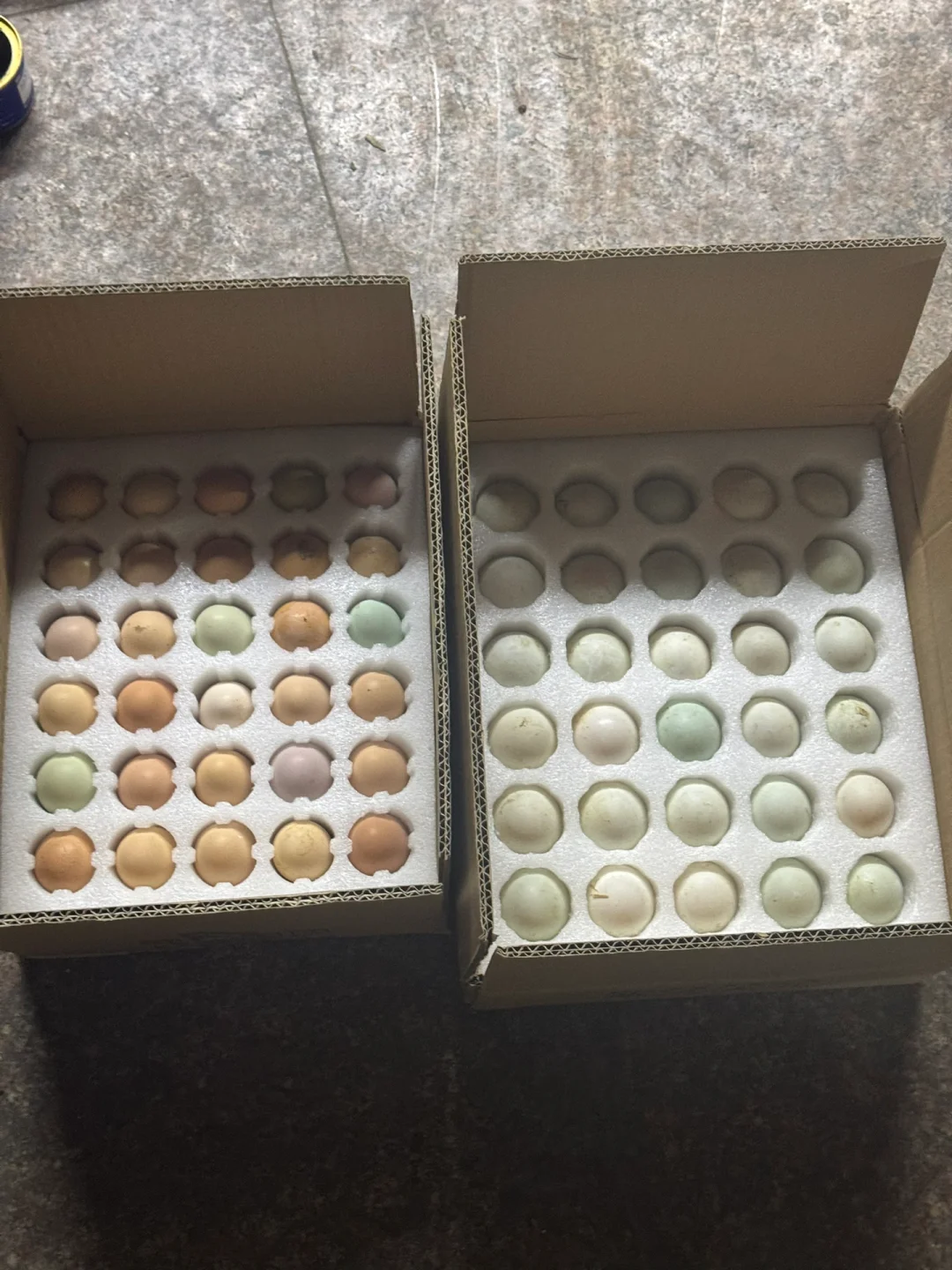 1.3元一个土鸡蛋包邮