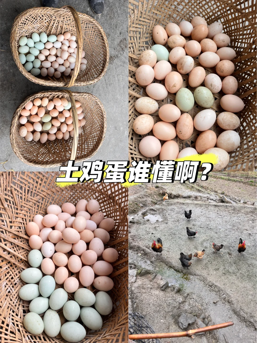 2ǮһǾù