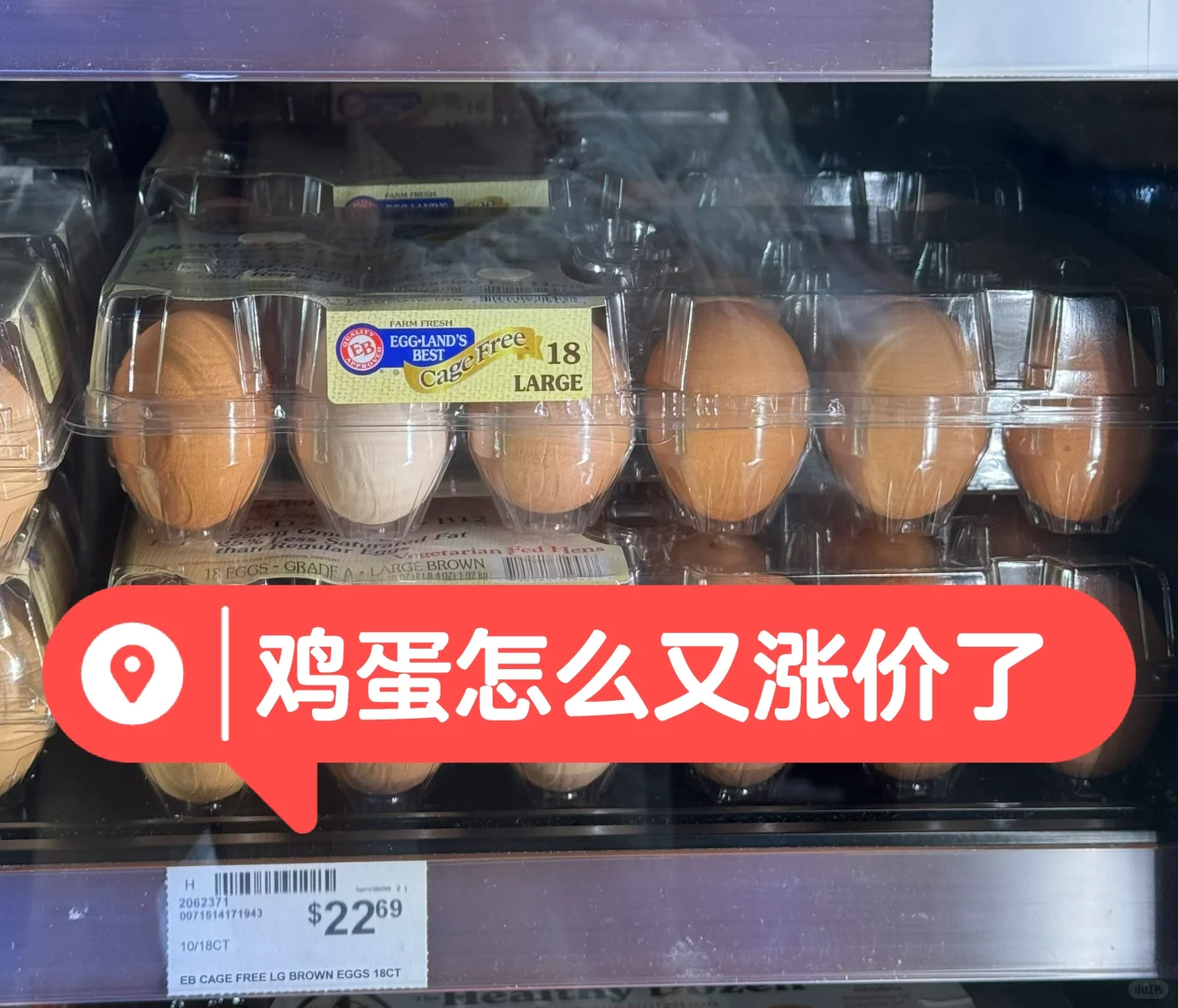 ̫˼۸
