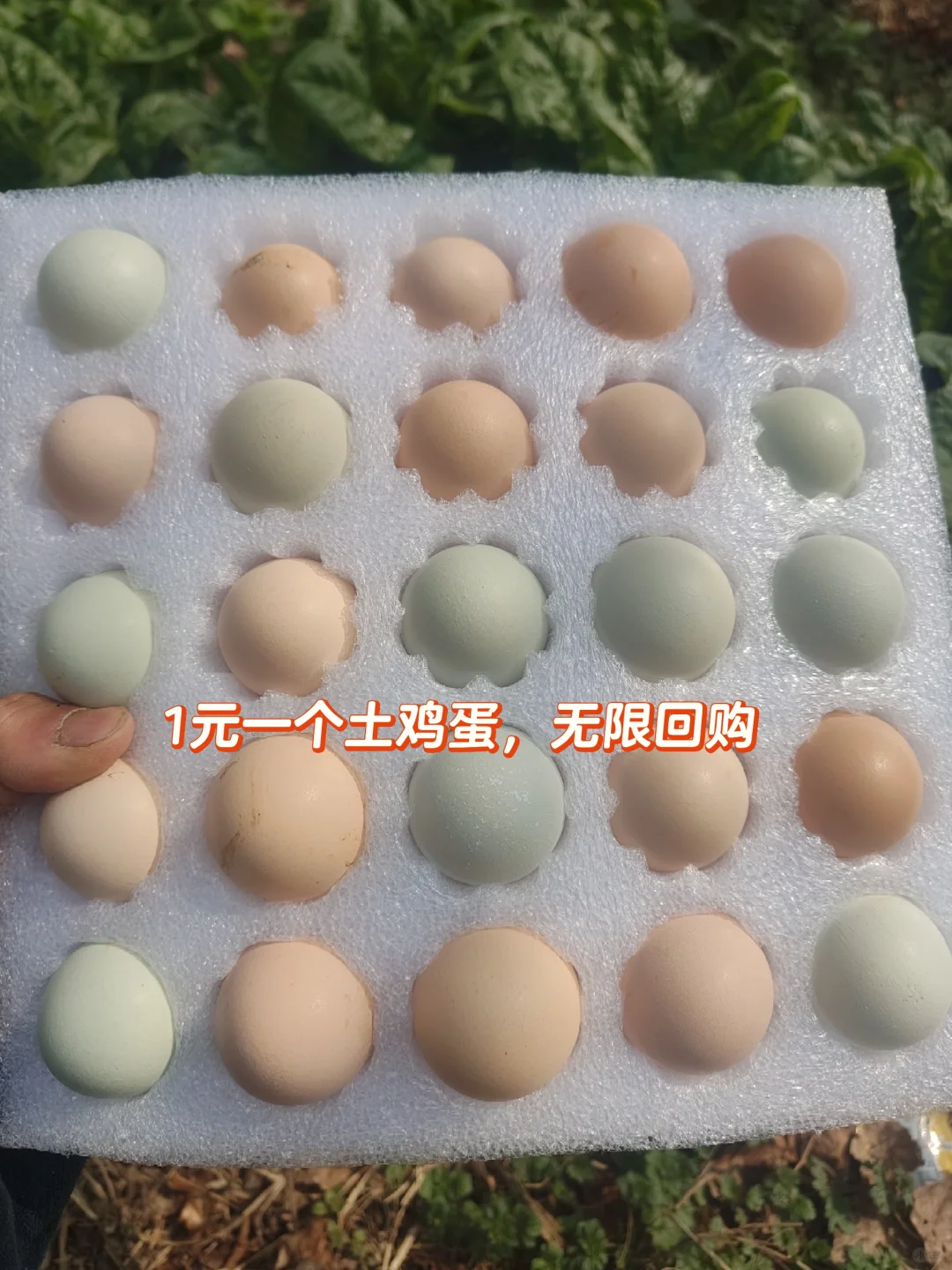 1Ԫһ޻عУ
