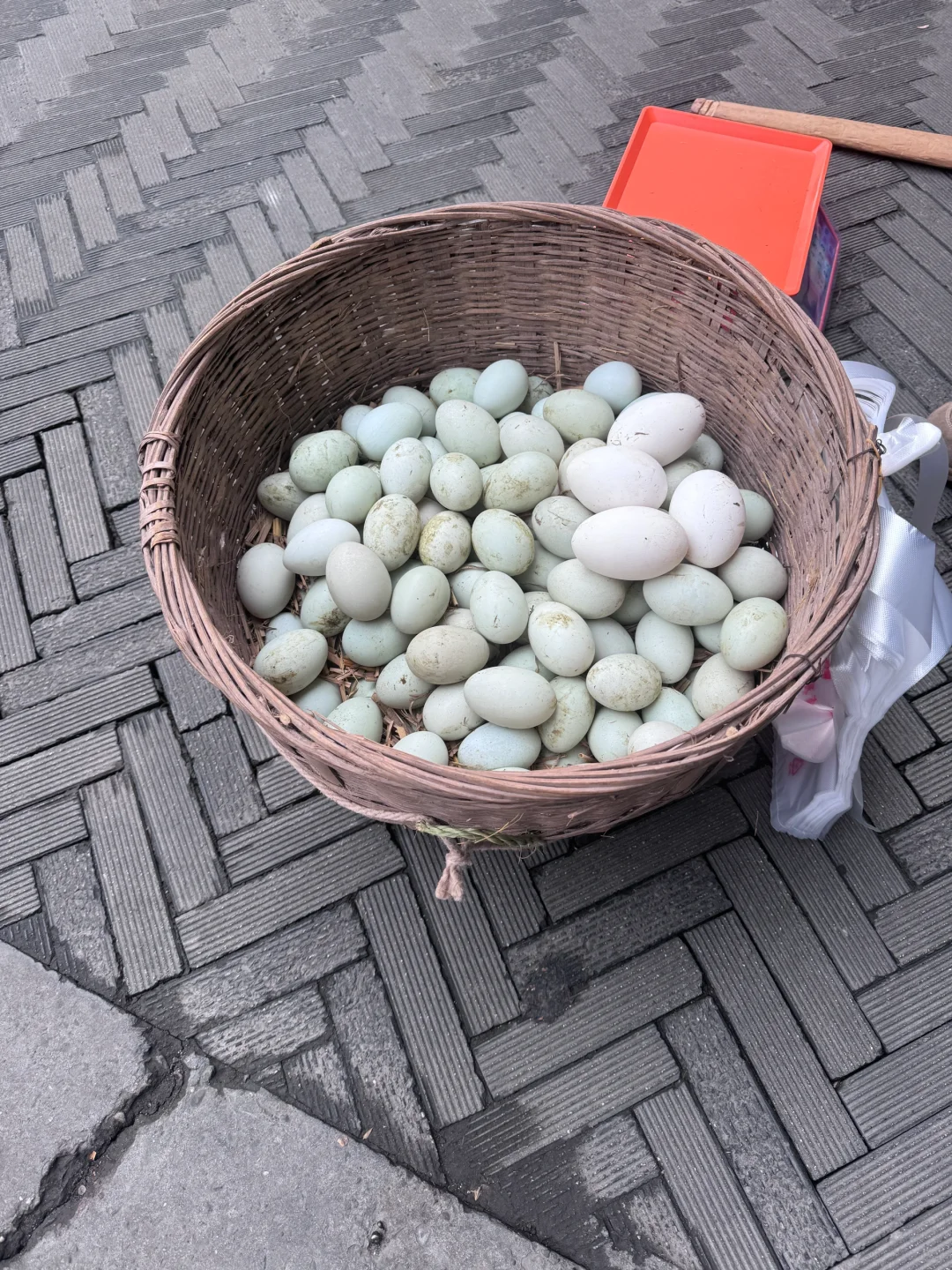 ũڳ