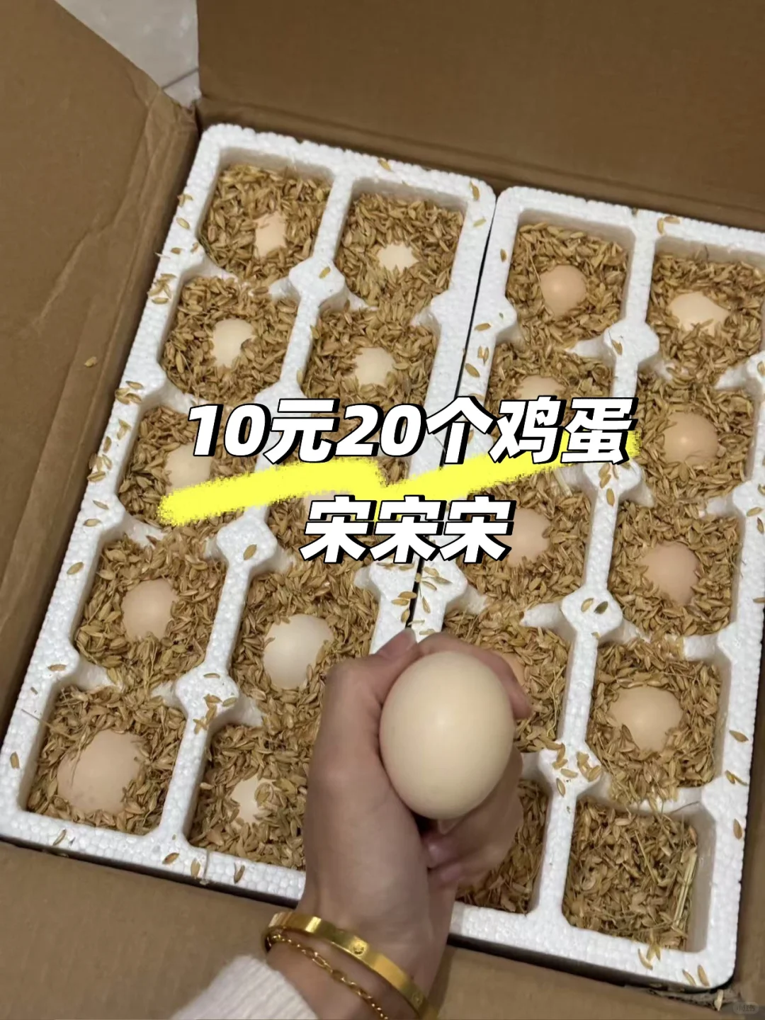 治
