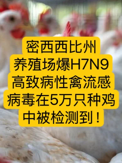 ? H7N9ʱʮ