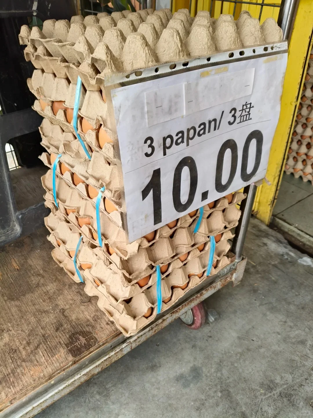 ??ʵּˣ