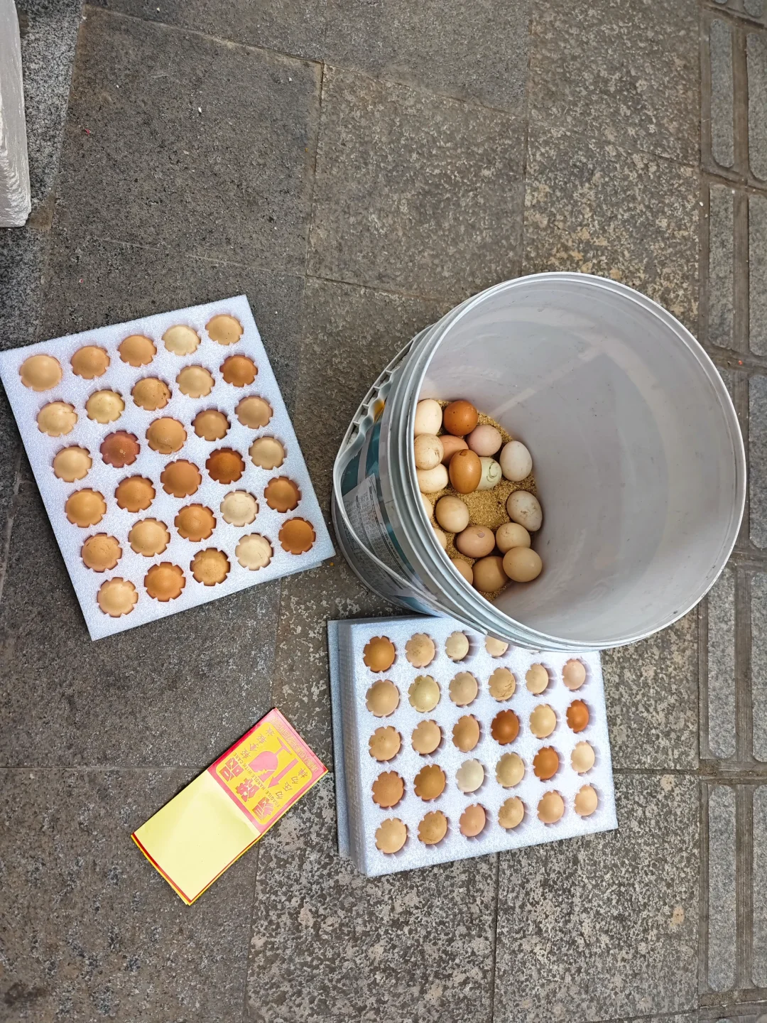 你吃的那些便宜土鸡蛋是正宗的吗？