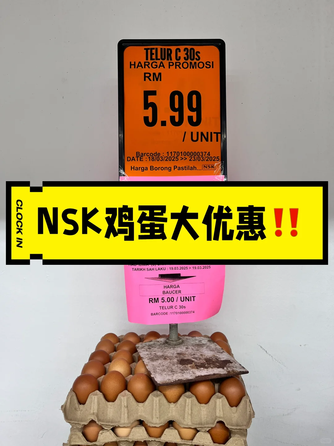 NSKô˵ļ