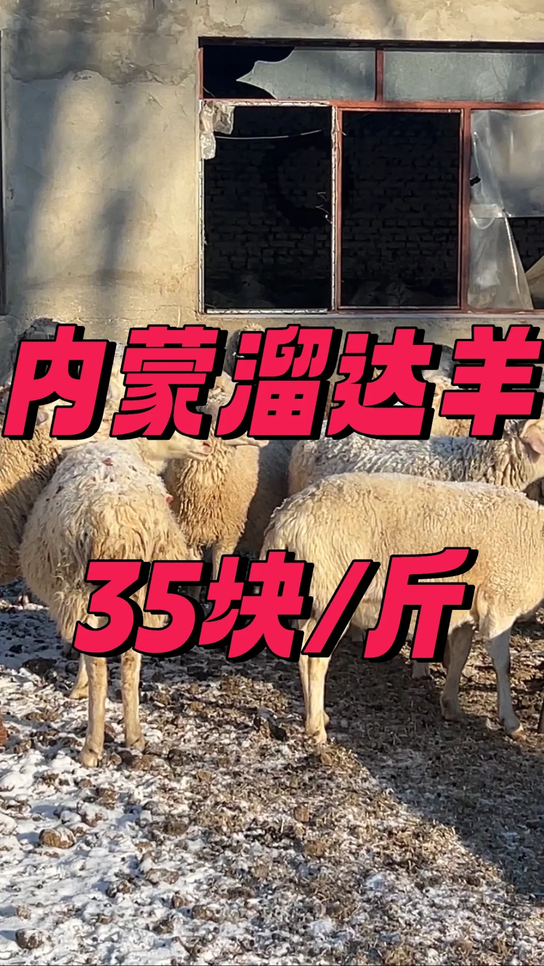 牧区生活