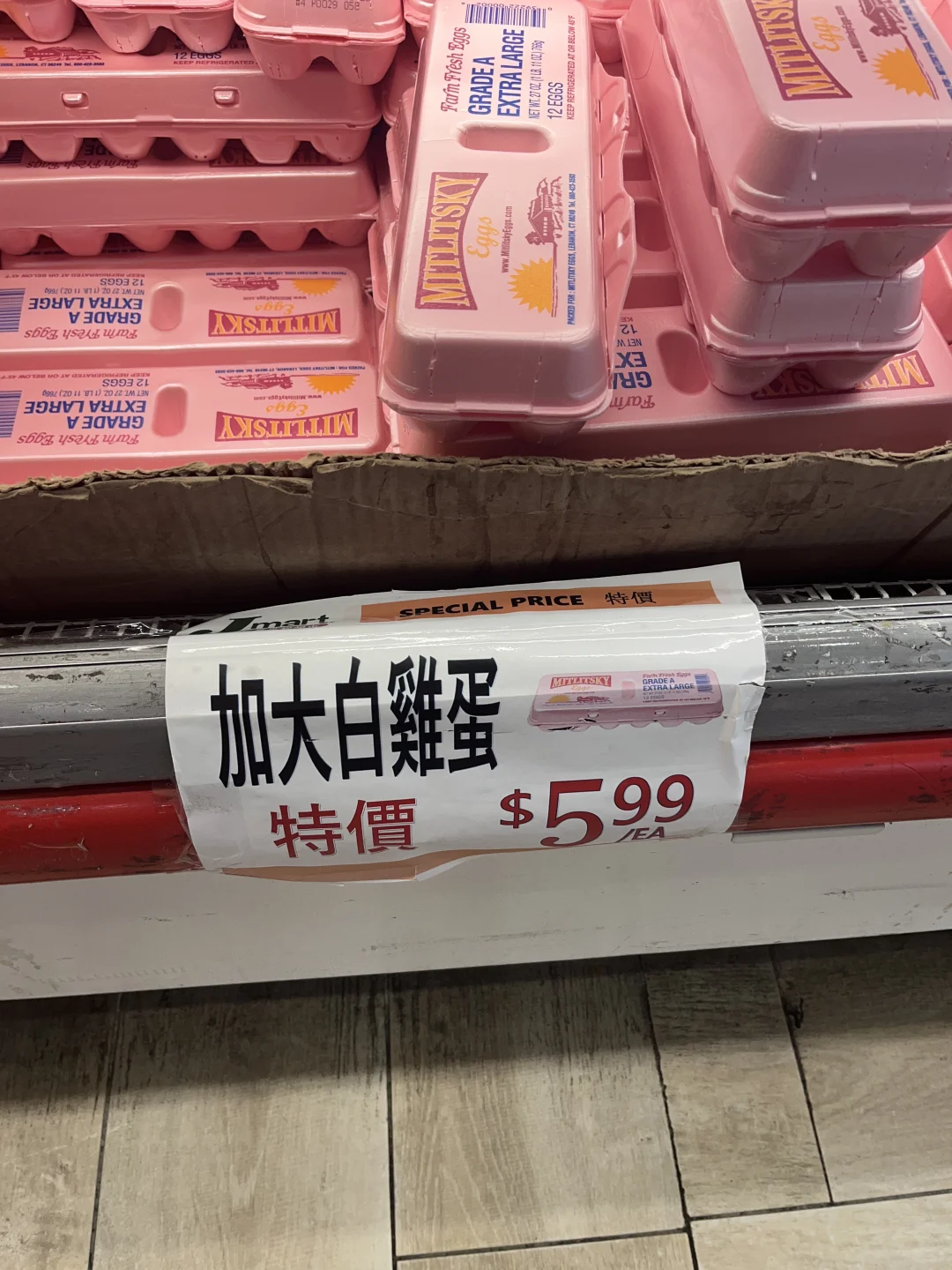 ڵȵ