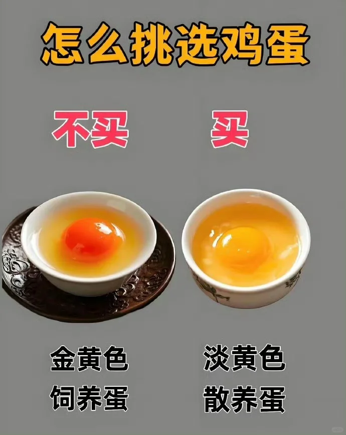 ô