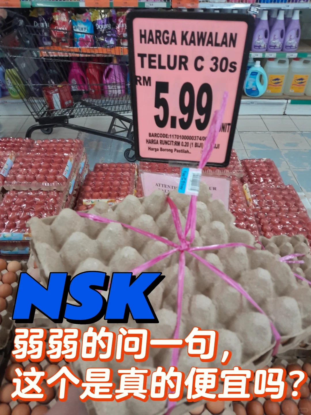 ??NSKҼ©ˣϵ?