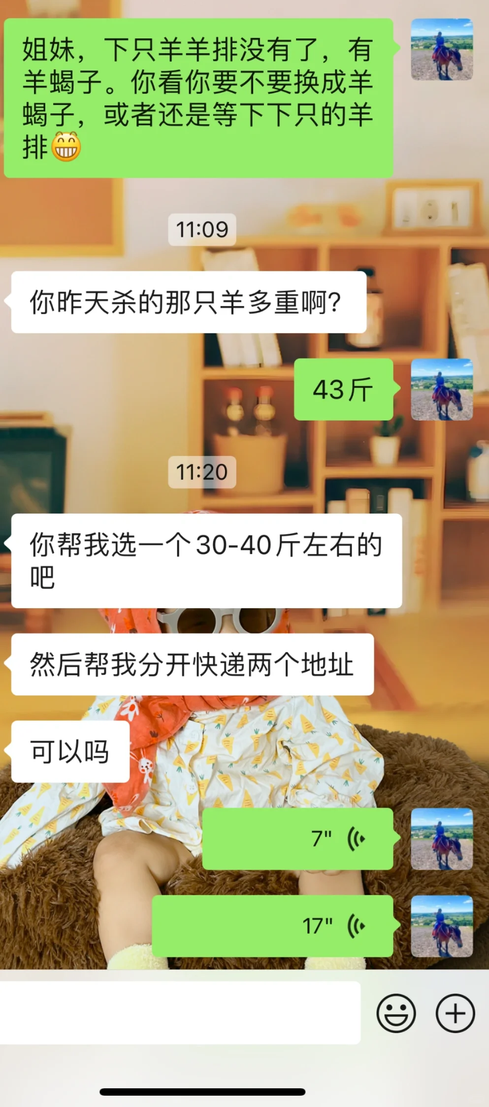 直接定一只！我家羊～