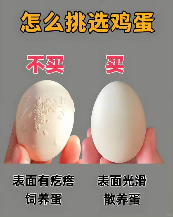 ô