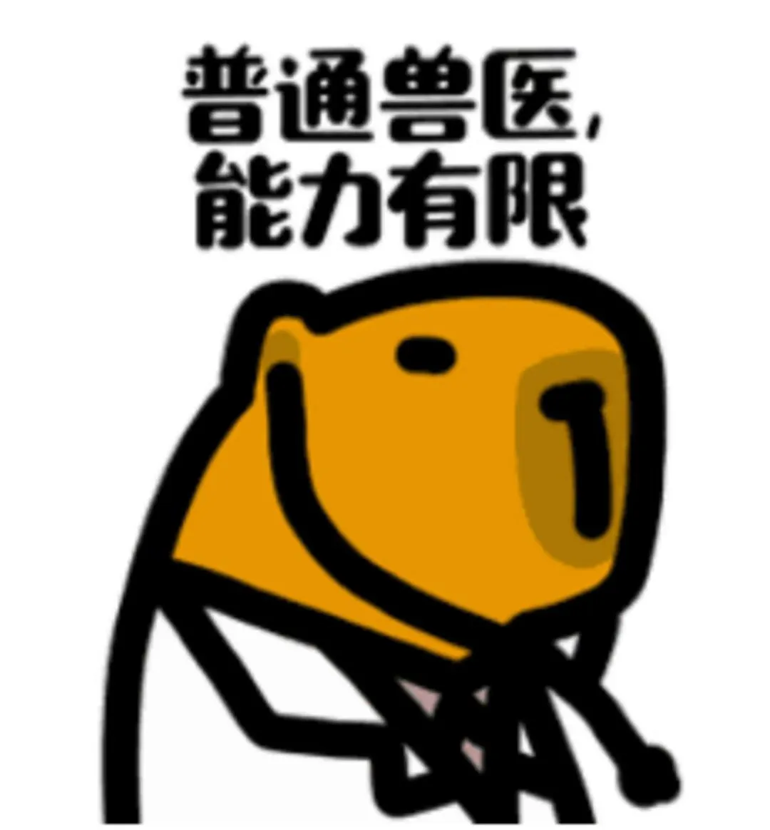 ڱԺ۸
