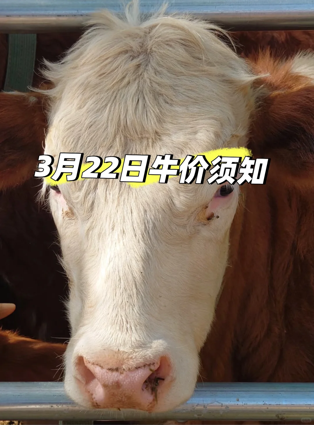 űţţ֪ճɽļ۸