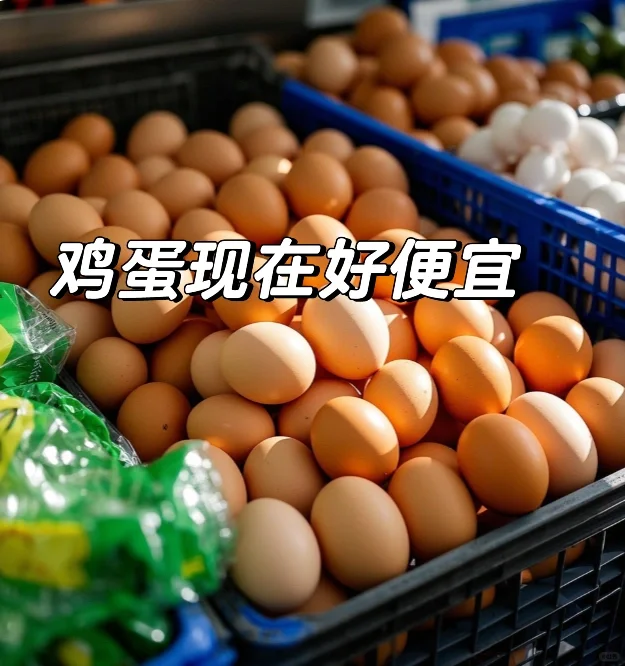 4.9r15枚的无菌蛋?