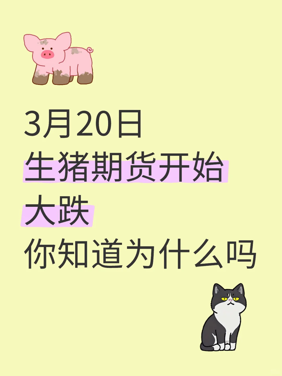 320ڻʼ֪Ϊʲô