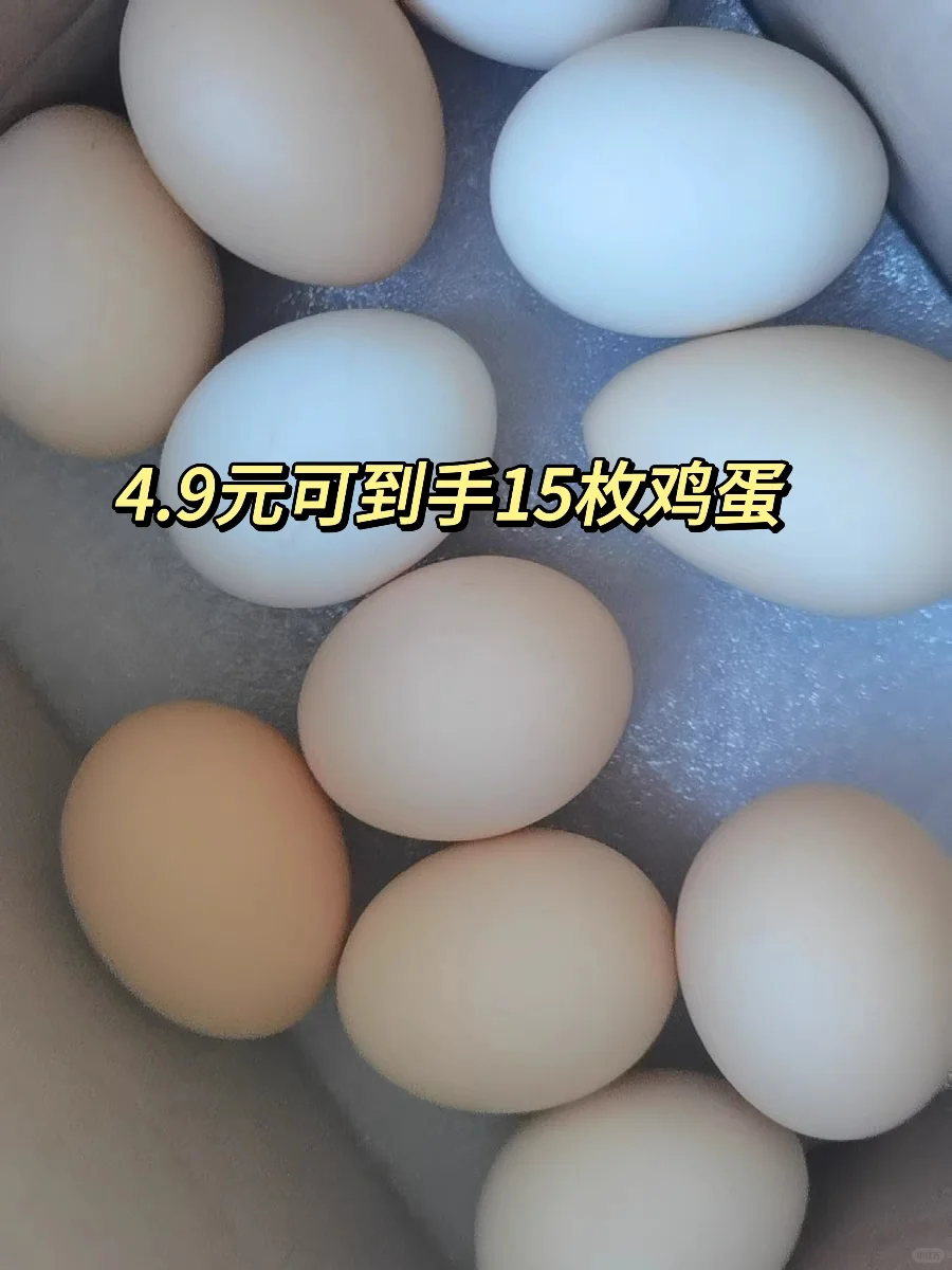 3ëǮ1öػأget