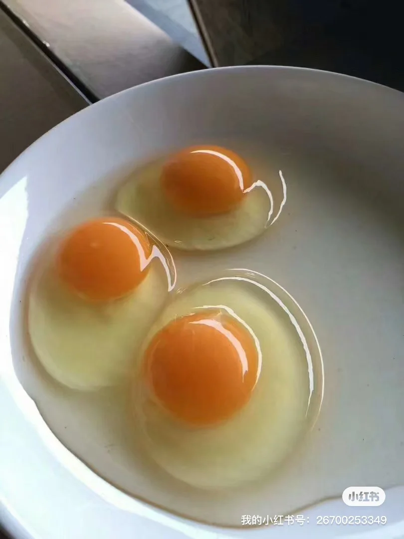 ǰҵ