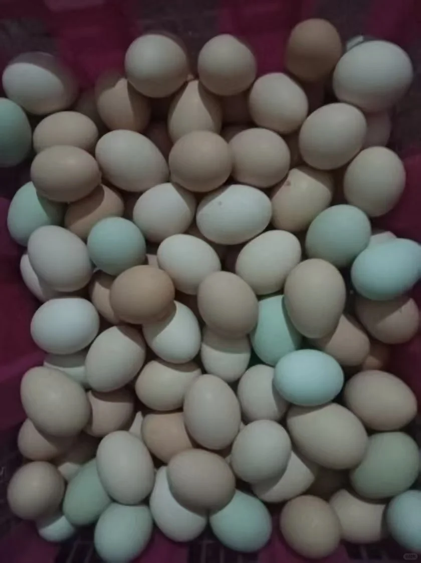 ʲݼ
