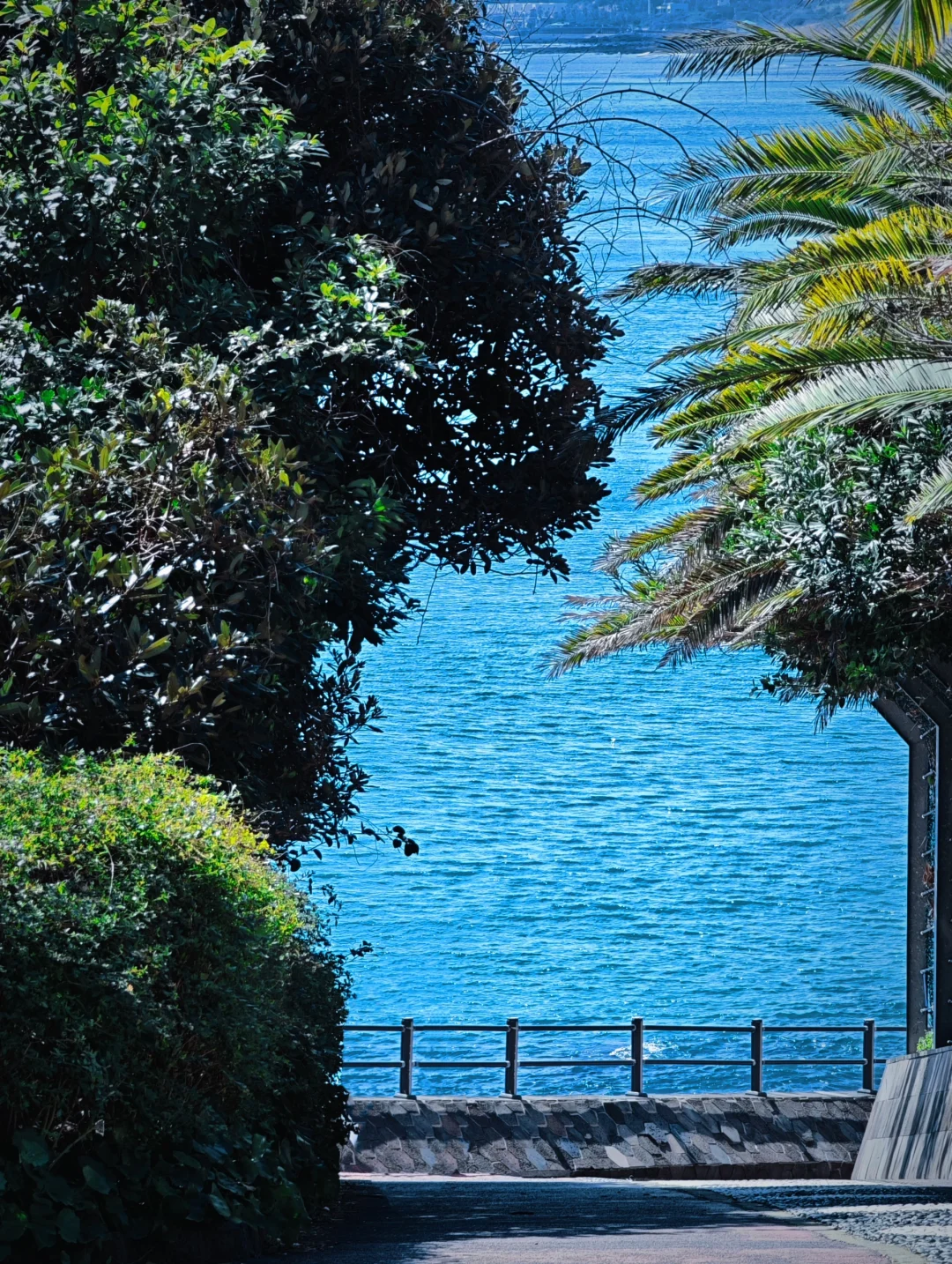 Jeju???ݵηѩռ