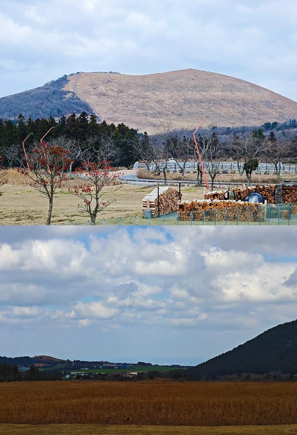 Jeju???ݵηѩռ