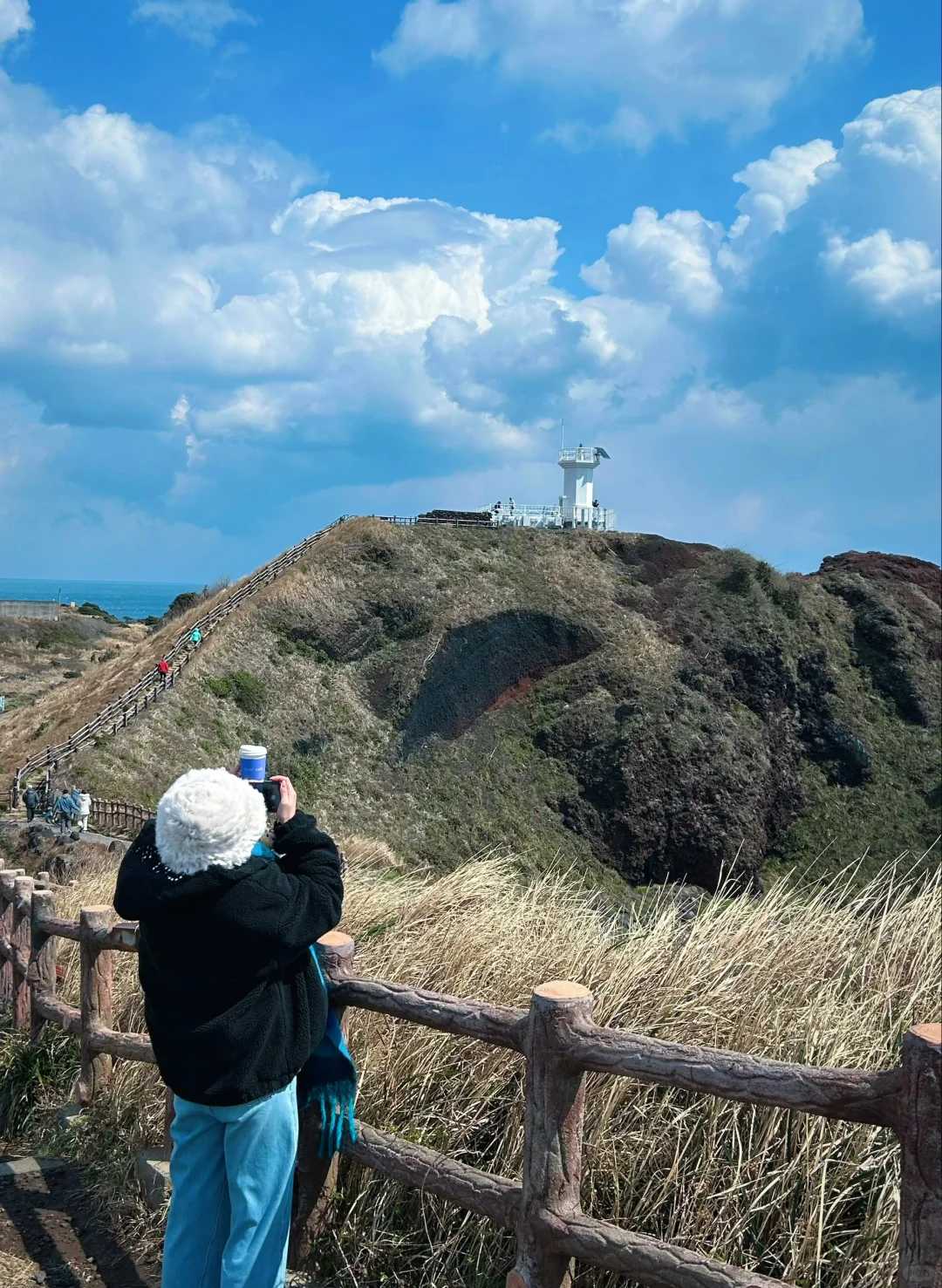 Jeju???ݵηѩռ